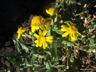 Piano_Provenzana - 23-09-2012 07-53-40.JPG